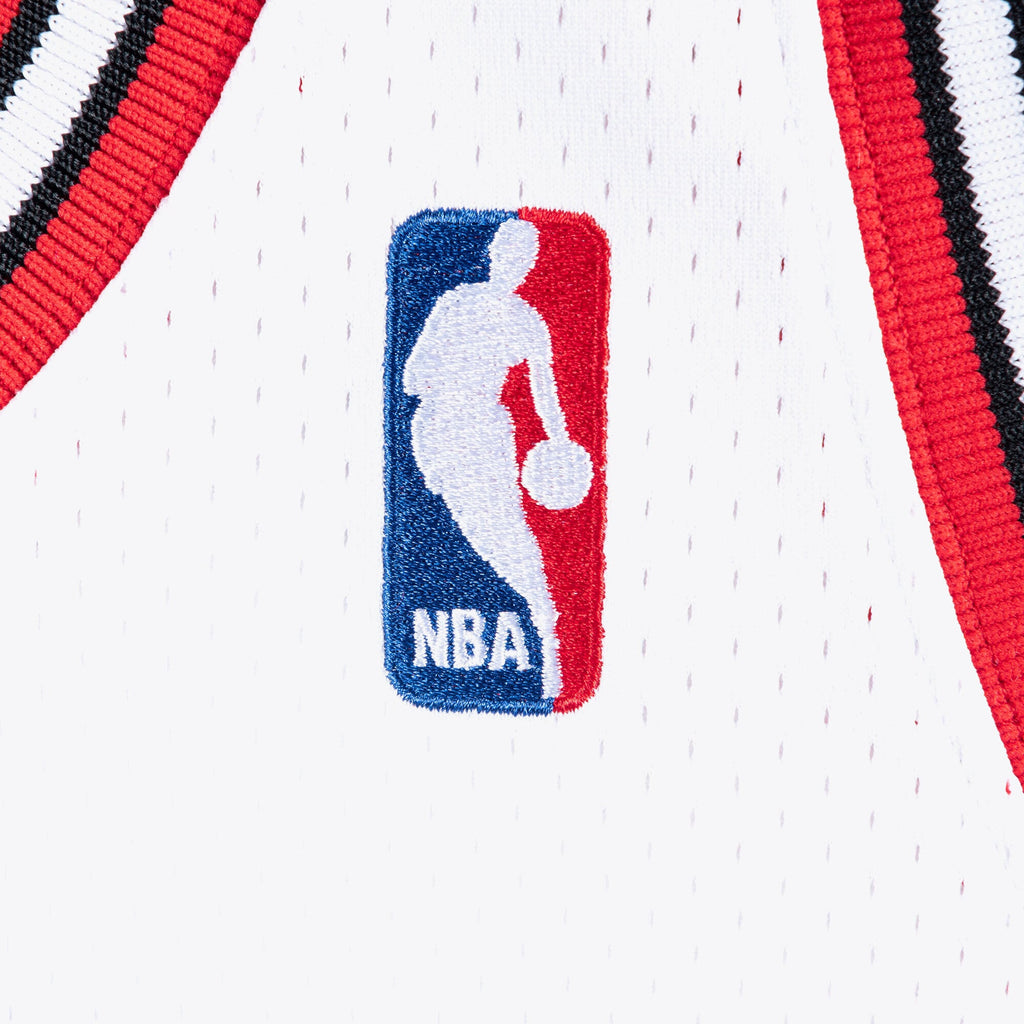 Michael Jordan Chicago Bulls 1995-96 Authentic Jersey product image 5, provided for visual reference and product detail