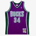 Milwaukee Bucks Mitchell & Ness Swingman Jersey Ray Allen product image 1