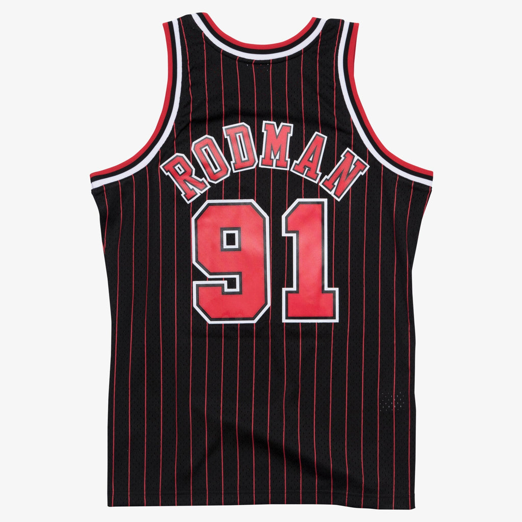 Dennis Rodman Chicago Bulls 1995-96 Swingman Alternate Jersey product image 3, provided for visual reference and product
