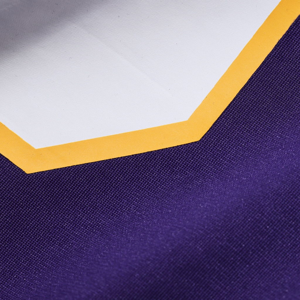 Minnesota Vikings Adrian Peterson Purple Alternate 2 Classic Retired Game Jersey product image 5, provided for visual