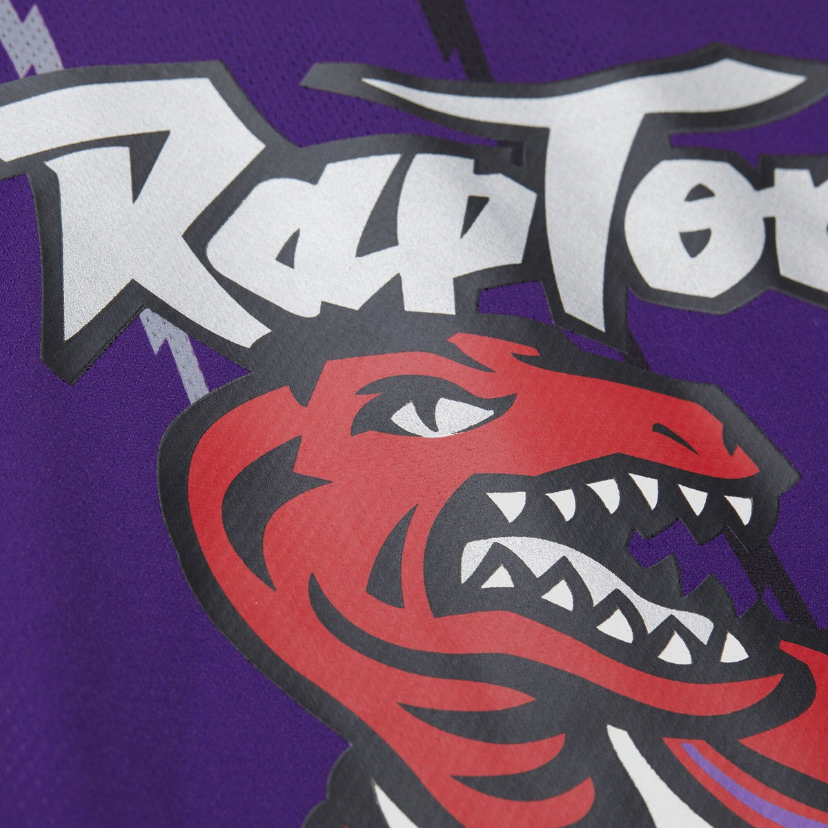 Toronto Raptors Jersey - Unisex product image 8, provided for visual reference and product detail review