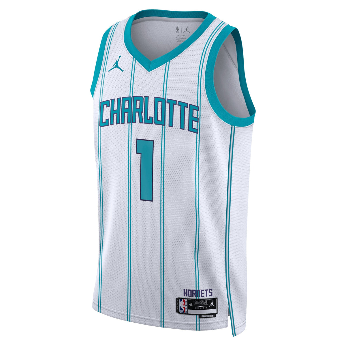 Charlotte Hornets Jordan Brand Association Edition Swingman product image 2