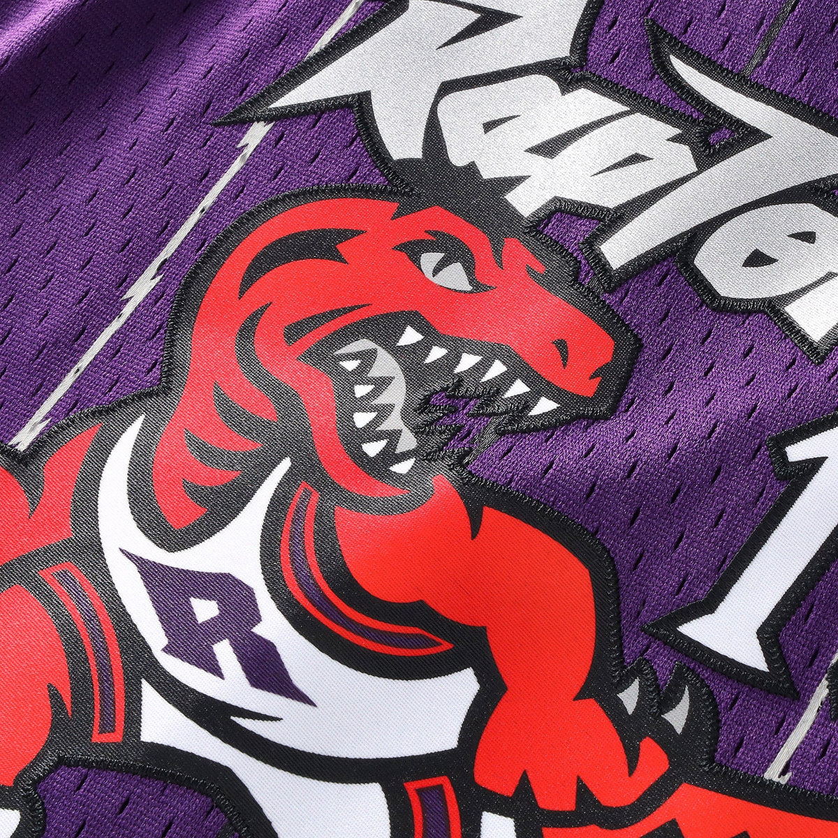 Vince Carter Toronto Raptors Swingman Jersey - Youth product image 5, provided for visual reference and product detail review