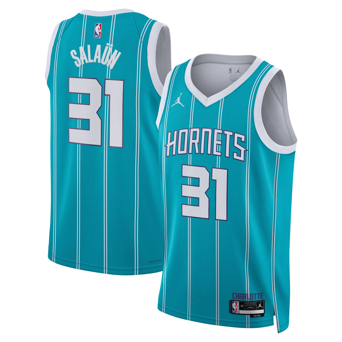 Charlotte Hornets Jordan Brand Icon Edition Swingman Jersey product image 2