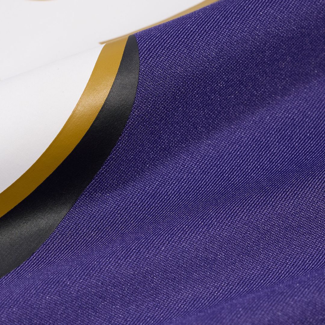 Baltimore Ravens Tony Siragusa Purple Game Retired Player Jersey product image 5, provided for visual reference and product