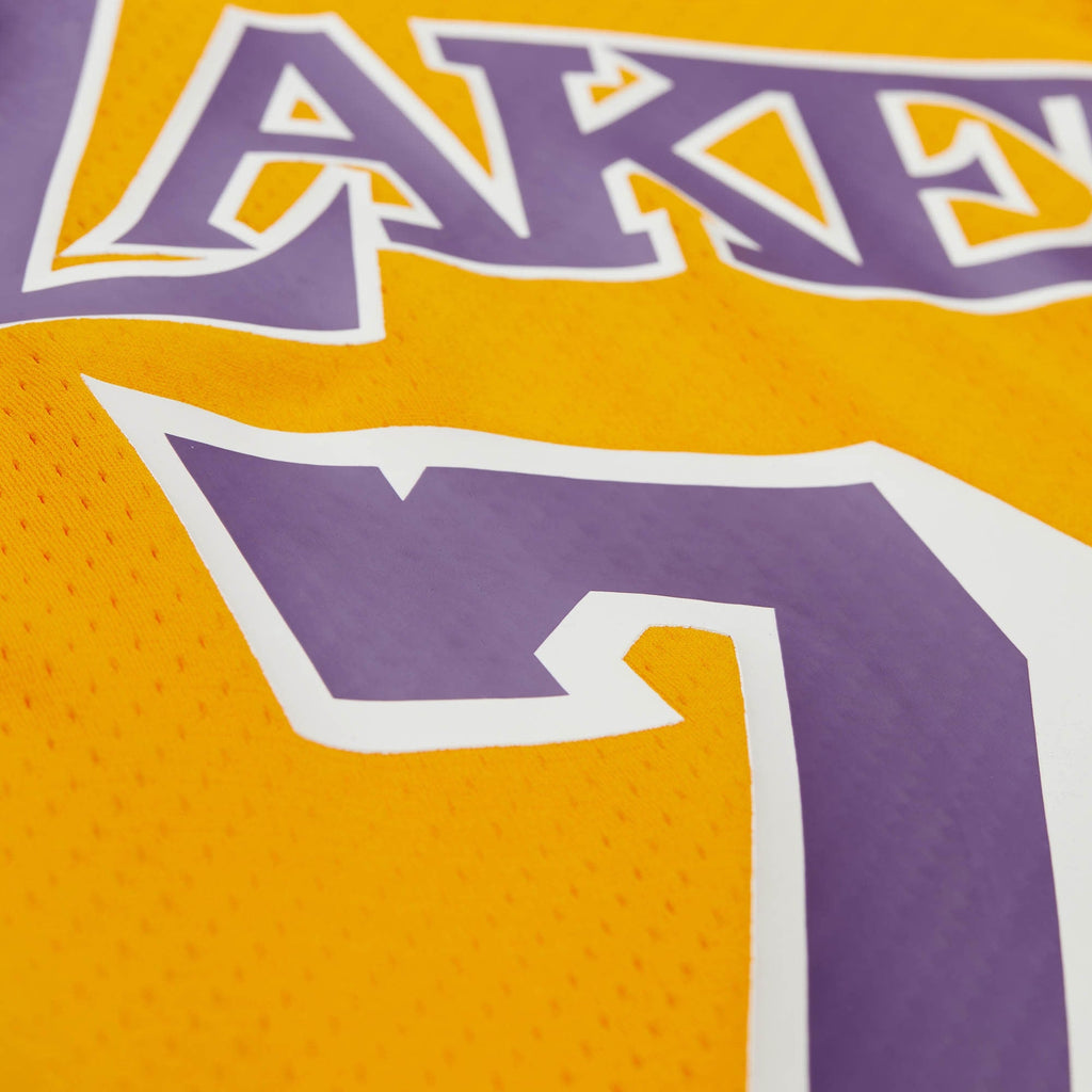 Dennis Rodman Los Angeles Lakers 1998 Jersey product image 4, provided for visual reference and product detail review