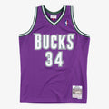 Milwaukee Bucks Mitchell & Ness Swingman Jersey Road Ray product image 1