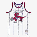 Toronto Raptors Swingman Basketball Jersey Tracy McGrady 1998 - 99 product image 1, provided for visual reference and