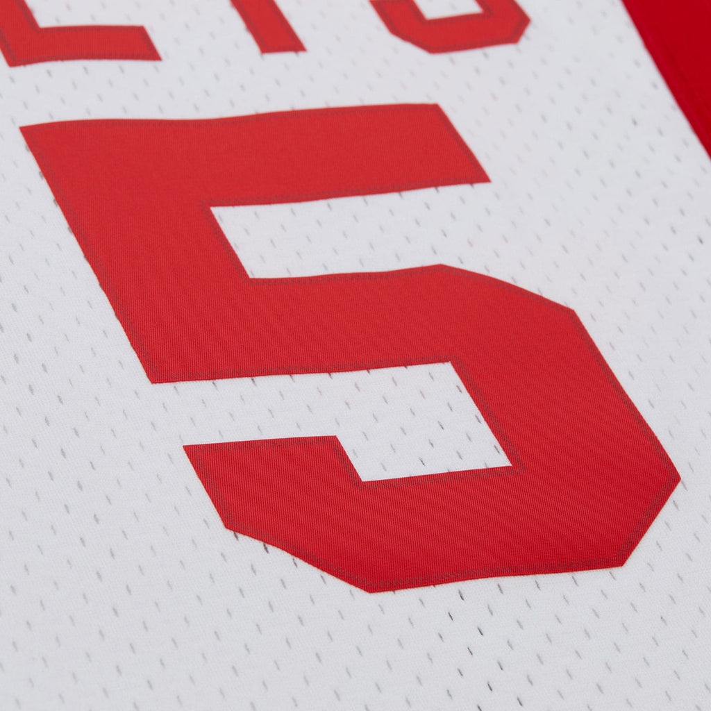 Jason Kidd New Jersey Nets Swingman Jersey - Mens product image 5, provided for visual reference and product detail review