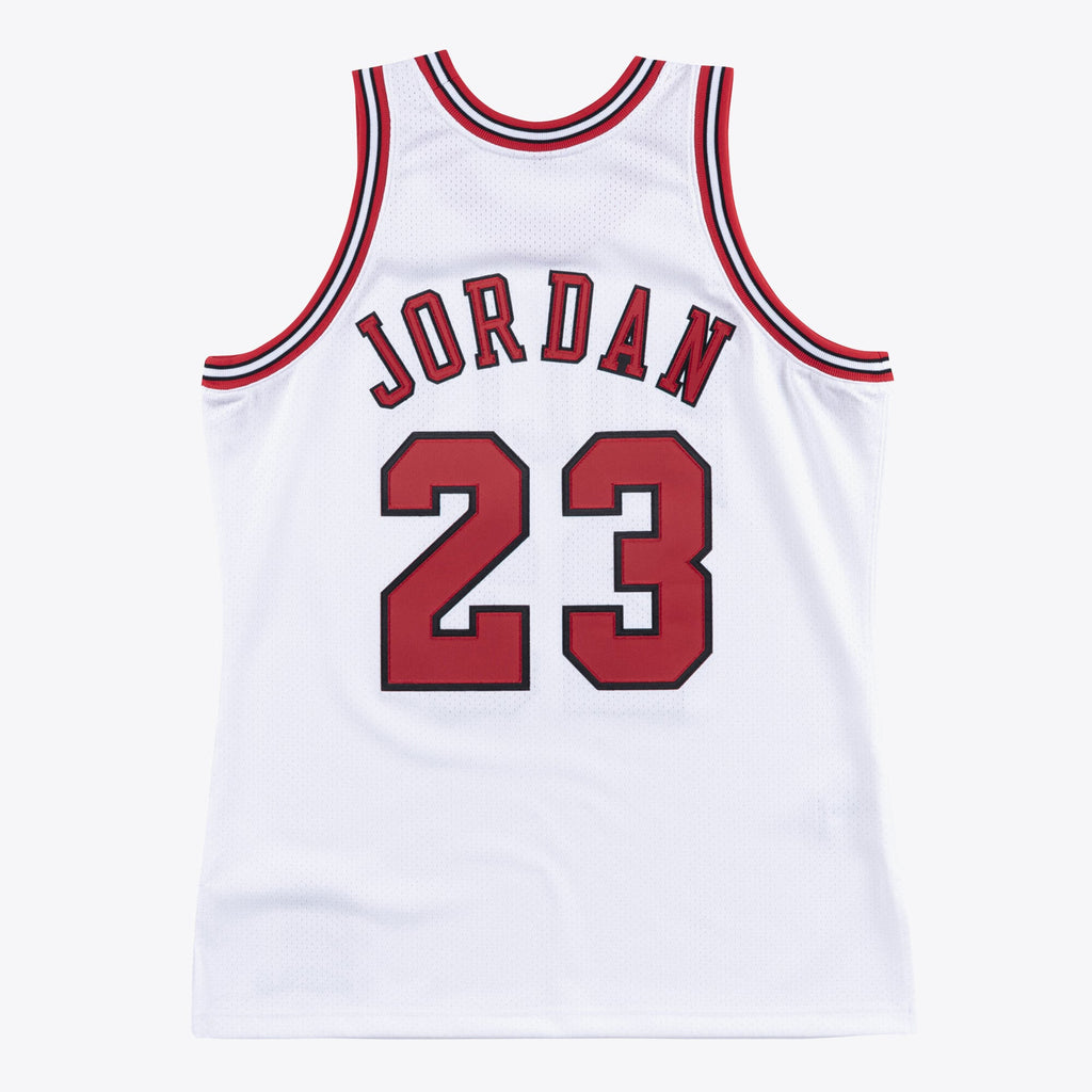 Michael Jordan Chicago Bulls 1995-96 Authentic Jersey product image 3, provided for visual reference and product detail