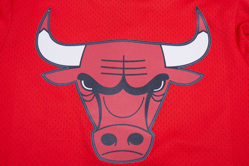 NBA CHICAGO BULLS SCRIPT TAIL Men MESH BUTTON DOWN SHIRT (RED/BLACK) product image 9, provided for visual reference and