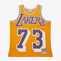 Dennis Rodman Los Angeles Lakers 1998 Jersey product image 1, provided for visual reference and product detail review