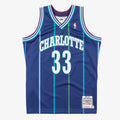 Charlotte Hornets Mitchell & Ness Authentic Jersey product image 1