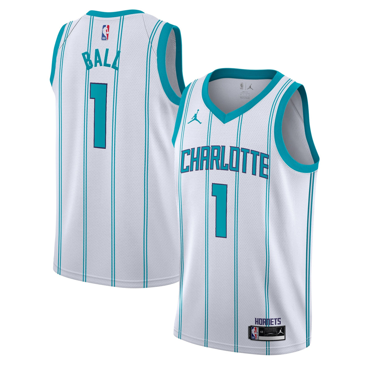 Charlotte Hornets Jordan Brand Association Edition Swingman product image 1