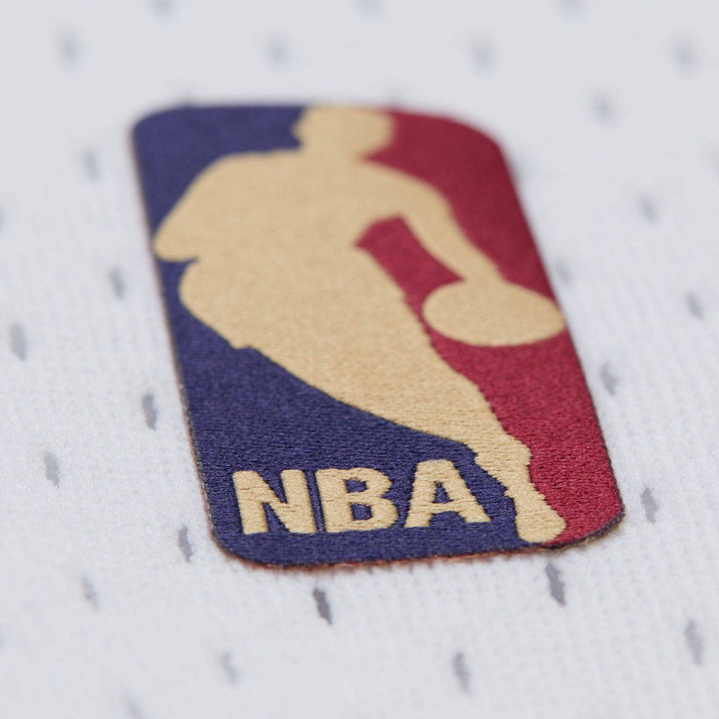 Jason Kidd New Jersey Nets Swingman Jersey - Mens product image 6, provided for visual reference and product detail review