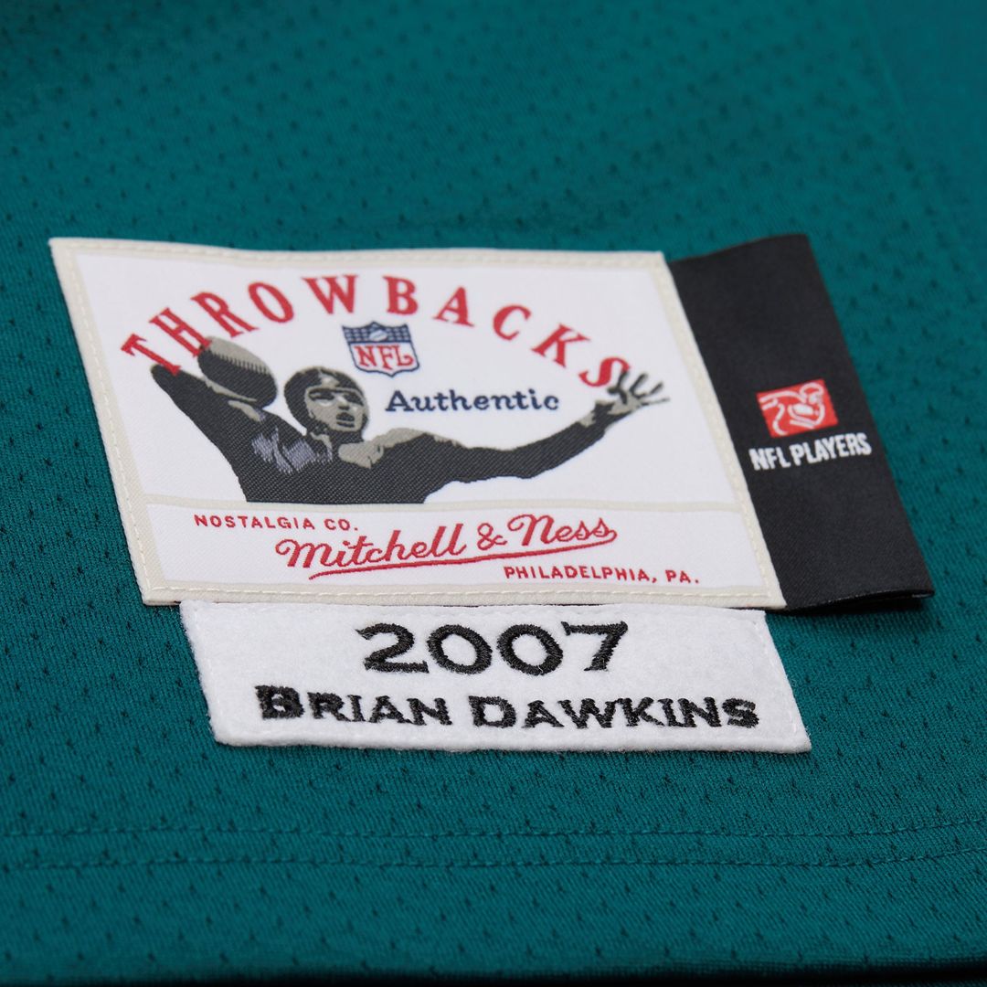 Philadelphia Eagles Brian Dawkins Green 2007 Authentic Throwback Retired Player Jersey product image 13, provided for visual