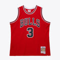Dwyane Wade Chicago Bulls 2016 Jersey product image 1, provided for visual reference and product detail review