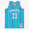 Charlotte Hornets NBA Mitchell & Ness Swingman Jersey product image 1