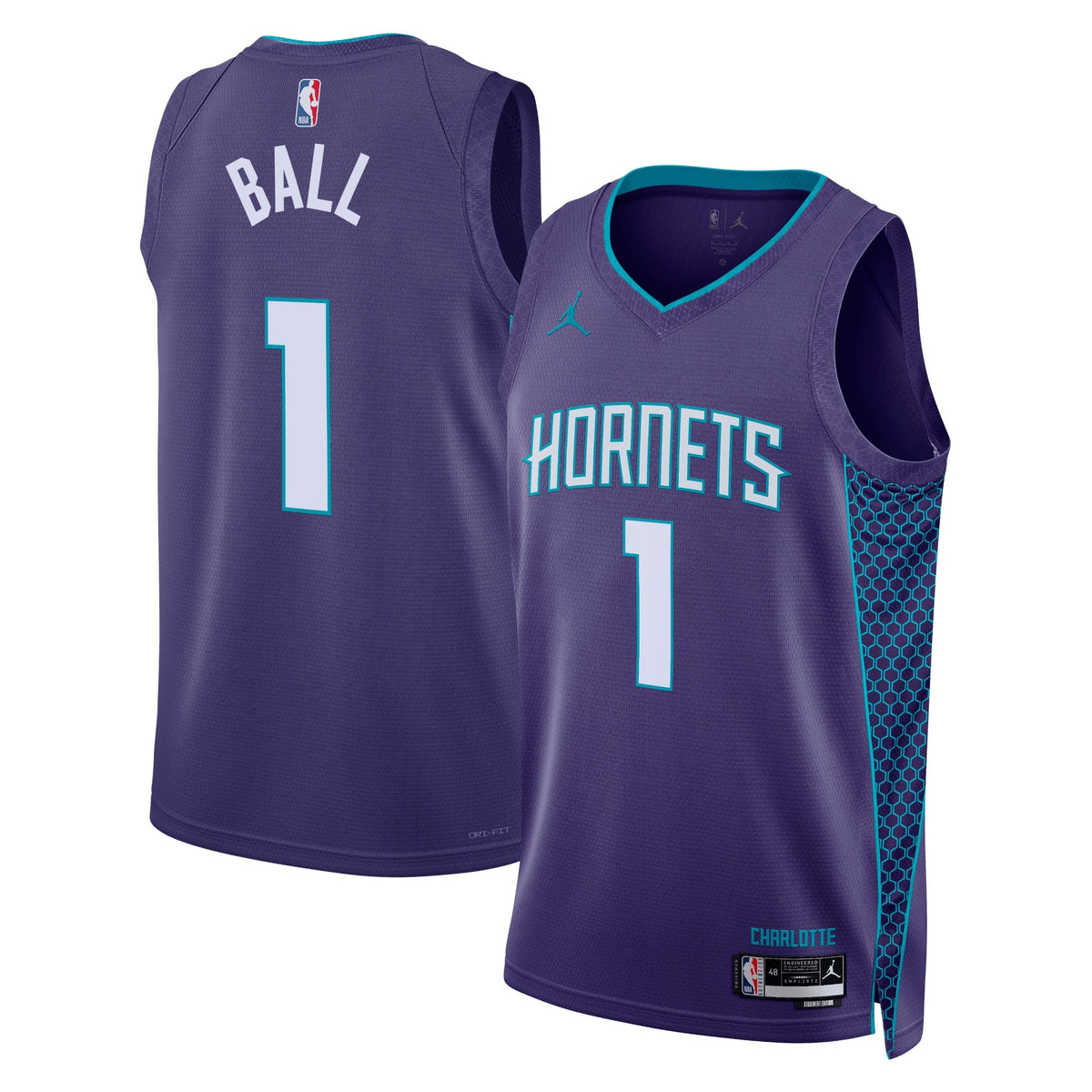 Charlotte Hornets Jordan Brand Statement Edition Swingman product image 1