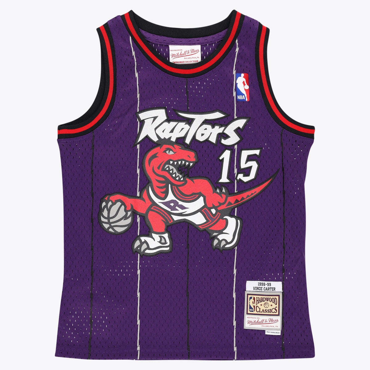 Toronto Raptors Mitchell & Ness Swingman Jersey - Vince product image 1
